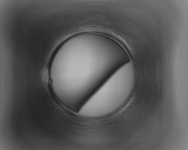 X0000101191509200806270836