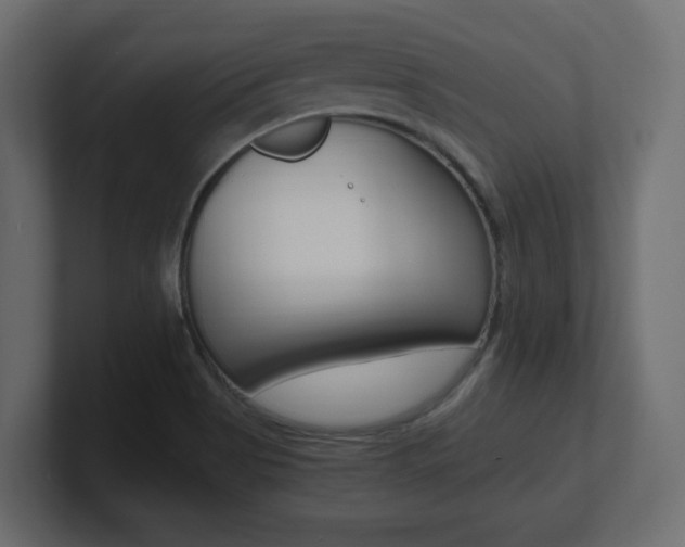 X0000101191513200806270836