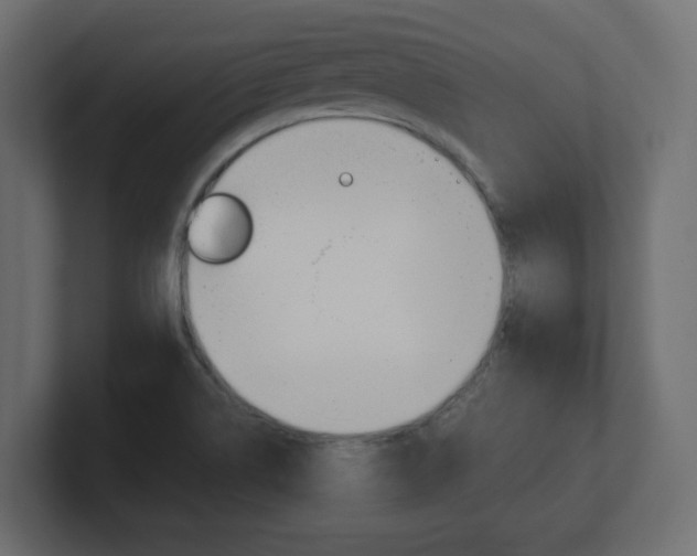 X0000101191514200806270836