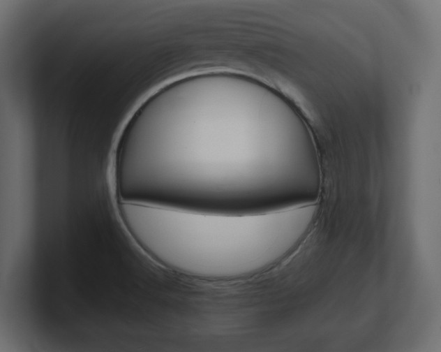 X0000101191516200806270837