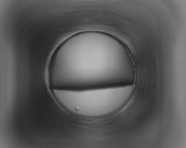 X0000101191517200806270837