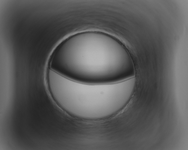 X0000101191518200806270837