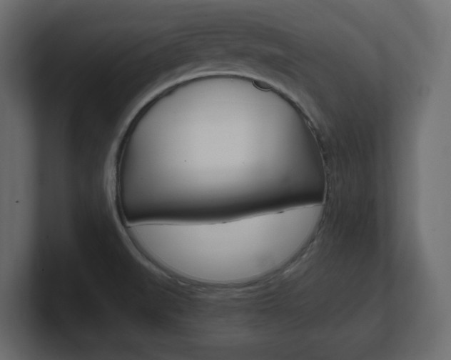 X0000101191519200806270837