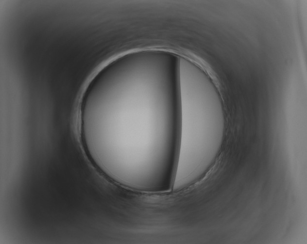 X0000101191520200806270837