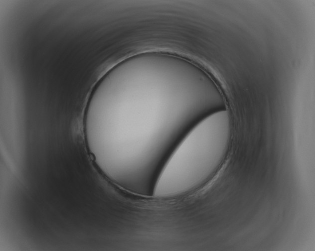 X0000101191521200806270837