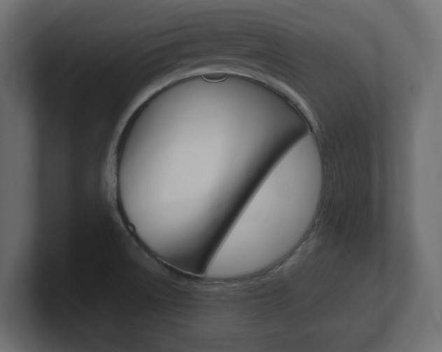 X0000101191522200806270837