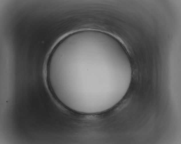 X0000101191523200806270837