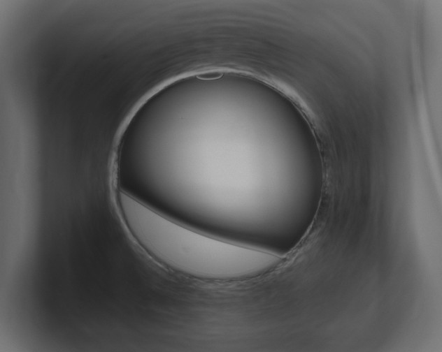 X0000101191524200806270837