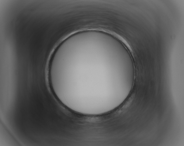 X0000101191525200806270837