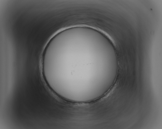 X0000101191526200806270837