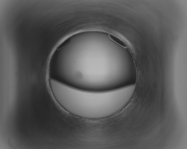 X0000101191528200806270837