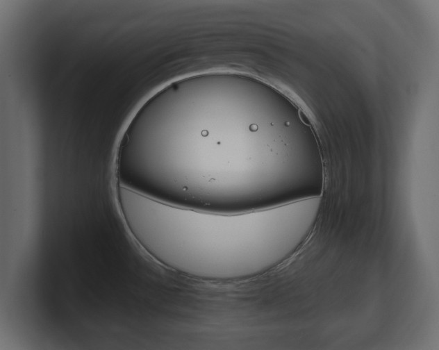 X0000101191532200806270837