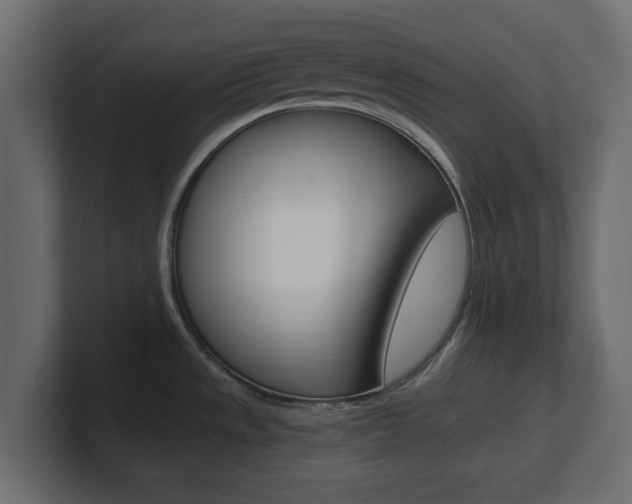 X0000101191533200806270837