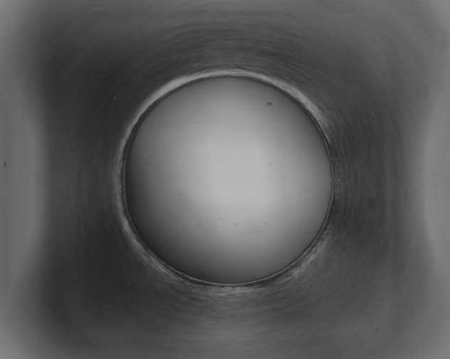 X0000101191534200806270837
