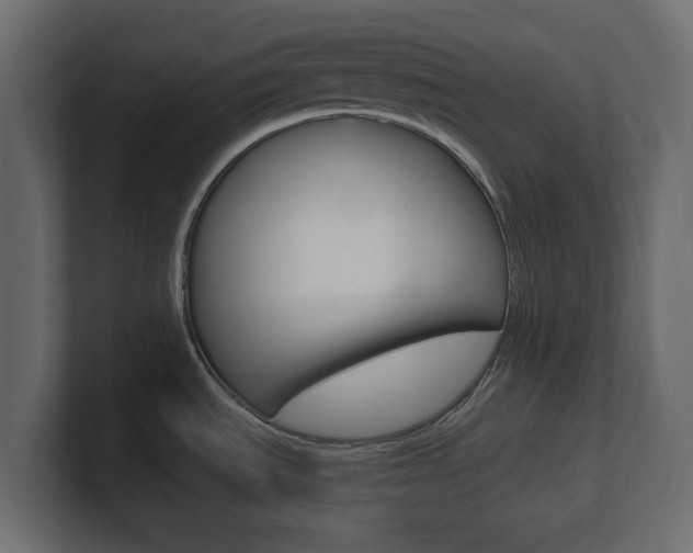 X0000101191535200806270837