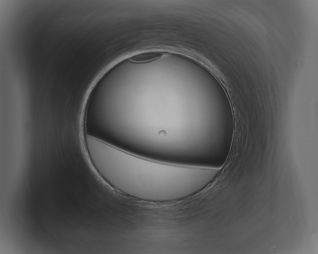 X0000101191536200806270837