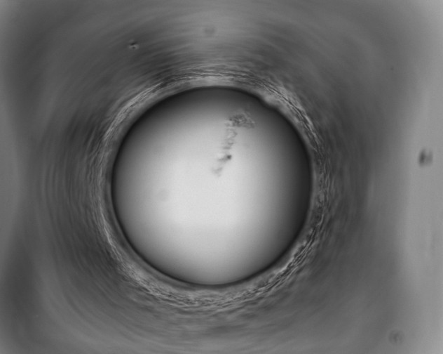 X0000101190001200806271327