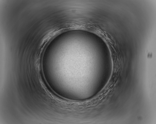 X0000101190002200806271327