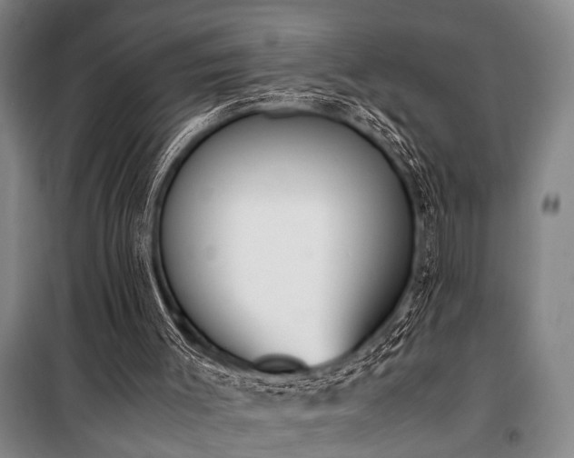 X0000101190003200806271327