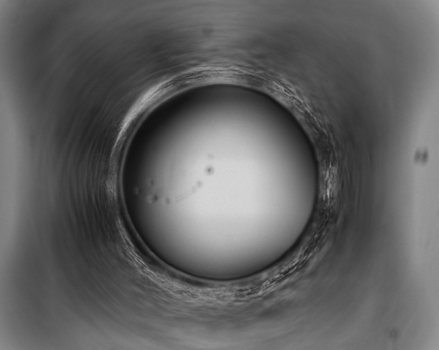 X0000101190004200806271327
