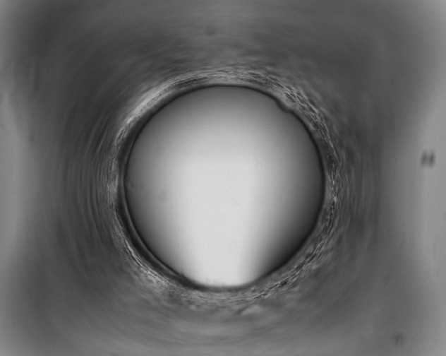 X0000101190005200806271327