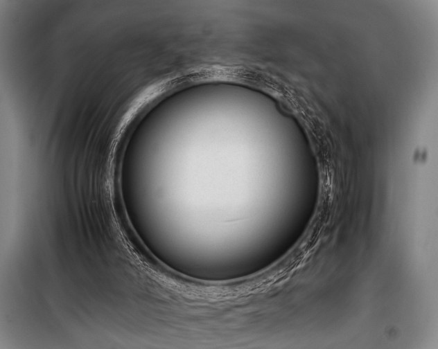 X0000101190006200806271327
