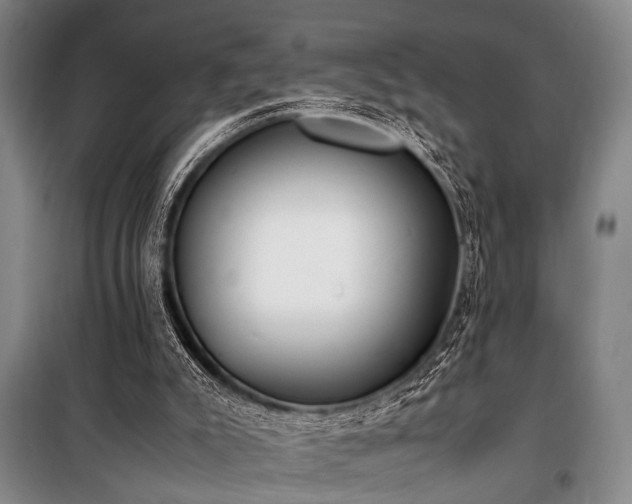 X0000101190007200806271327