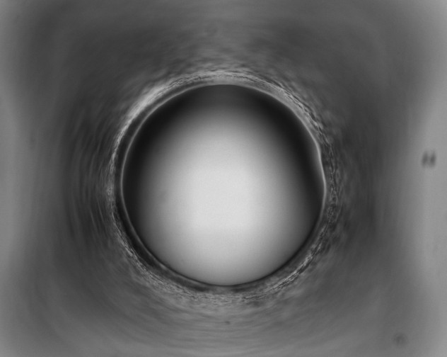 X0000101190008200806271327