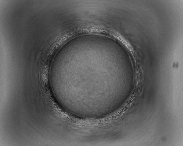 X0000101190009200806271327