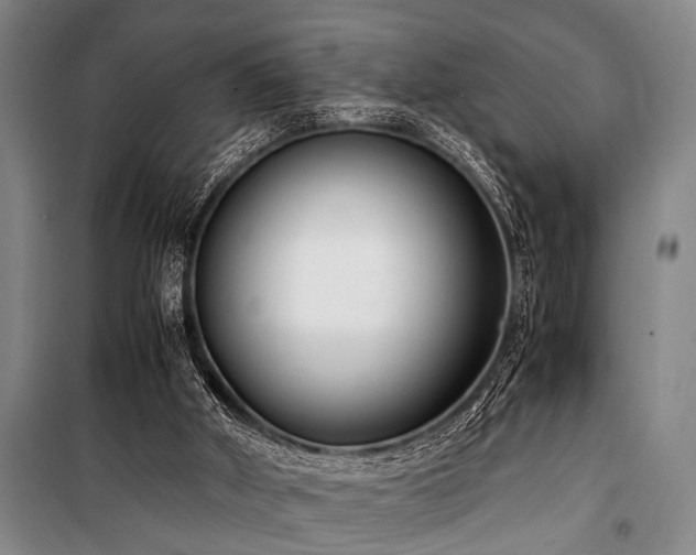 X0000101190010200806271327