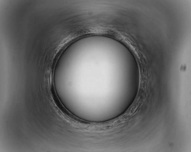 X0000101190011200806271327