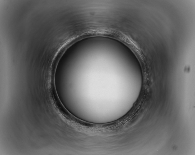 X0000101190012200806271327