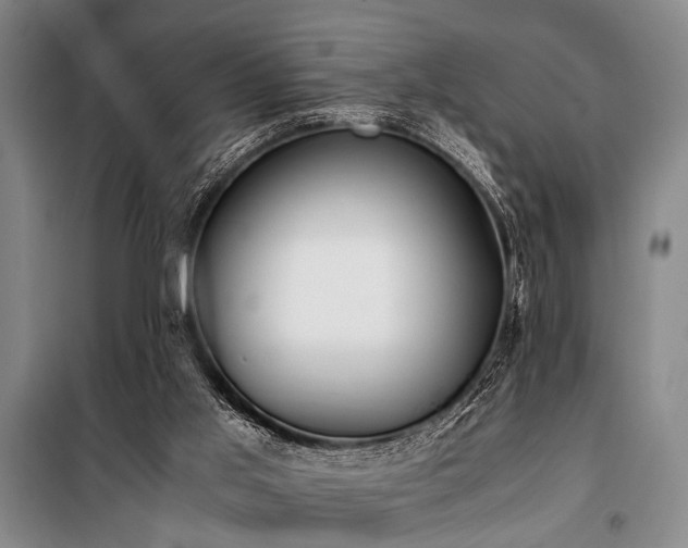 X0000101190013200806271327