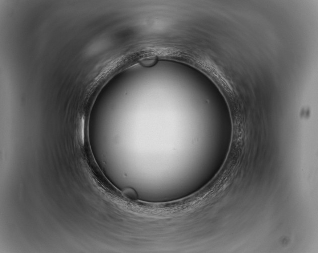 X0000101190014200806271327