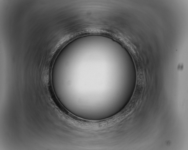 X0000101190015200806271327