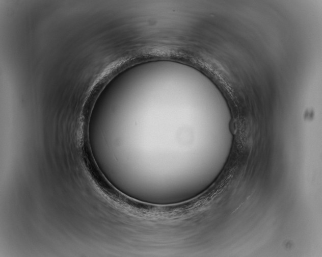 X0000101190016200806271327
