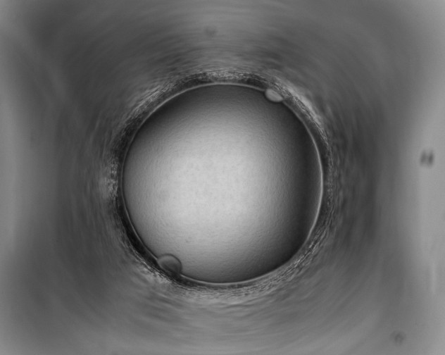 X0000101190017200806271327