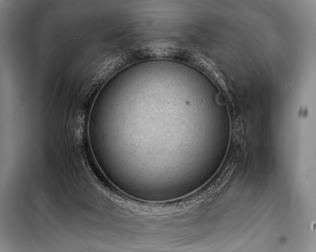 X0000101190018200806271327