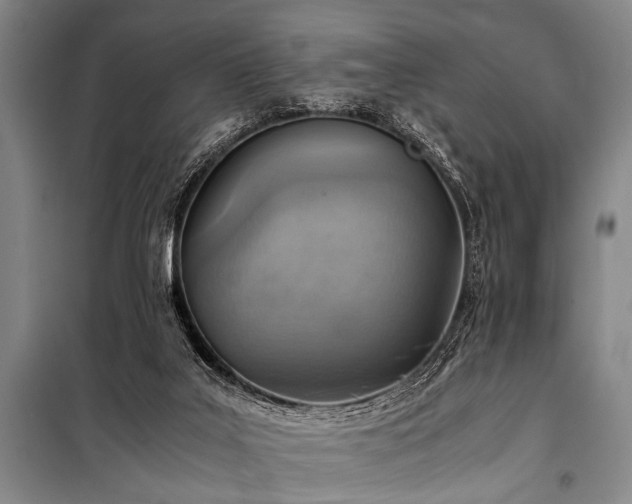 X0000101190019200806271327