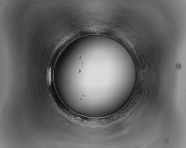 X0000101190020200806271327