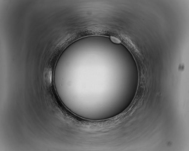 X0000101190021200806271327