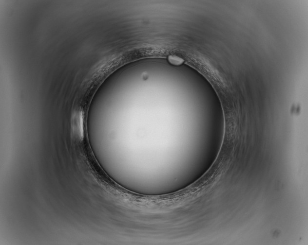 X0000101190022200806271327