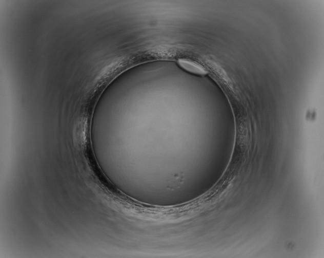 X0000101190023200806271327