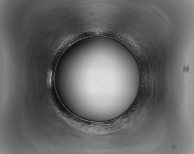 X0000101190024200806271327