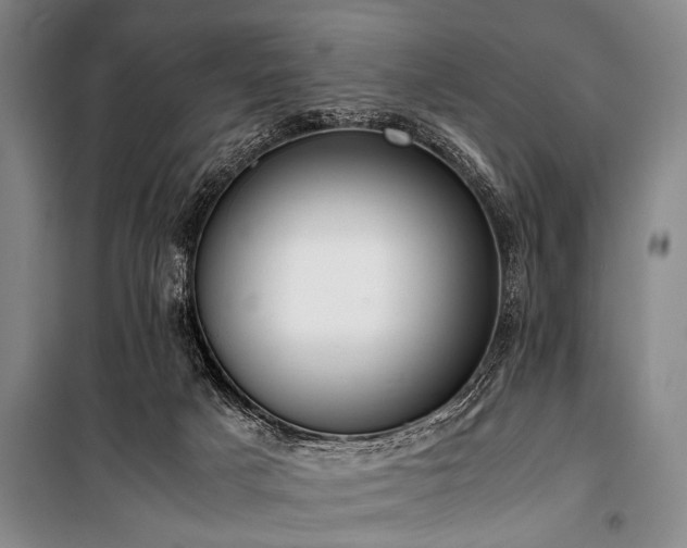 X0000101190025200806271327