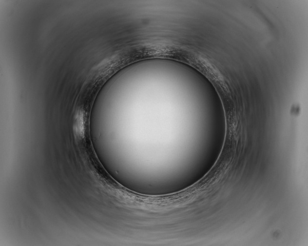 X0000101190026200806271327