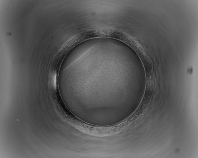 X0000101190027200806271327