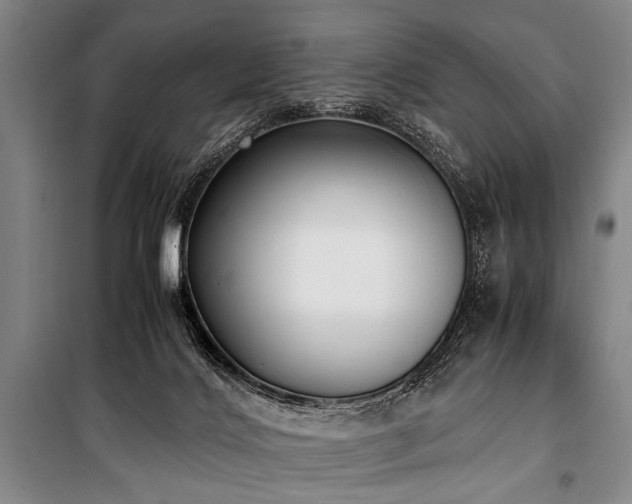 X0000101190028200806271327