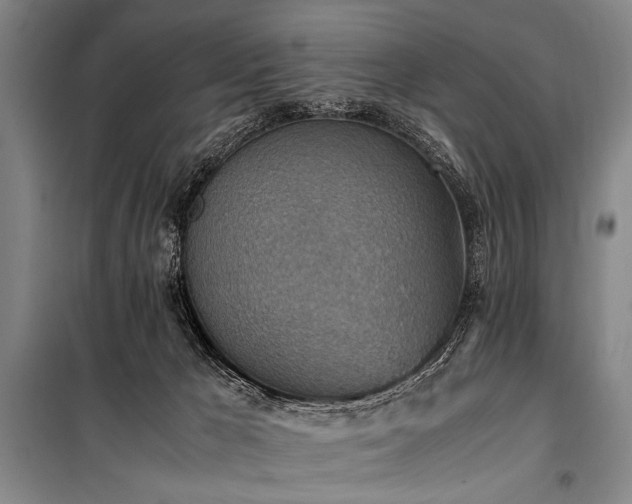 X0000101190029200806271327