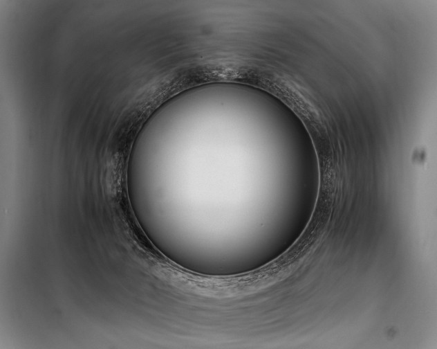 X0000101190030200806271327